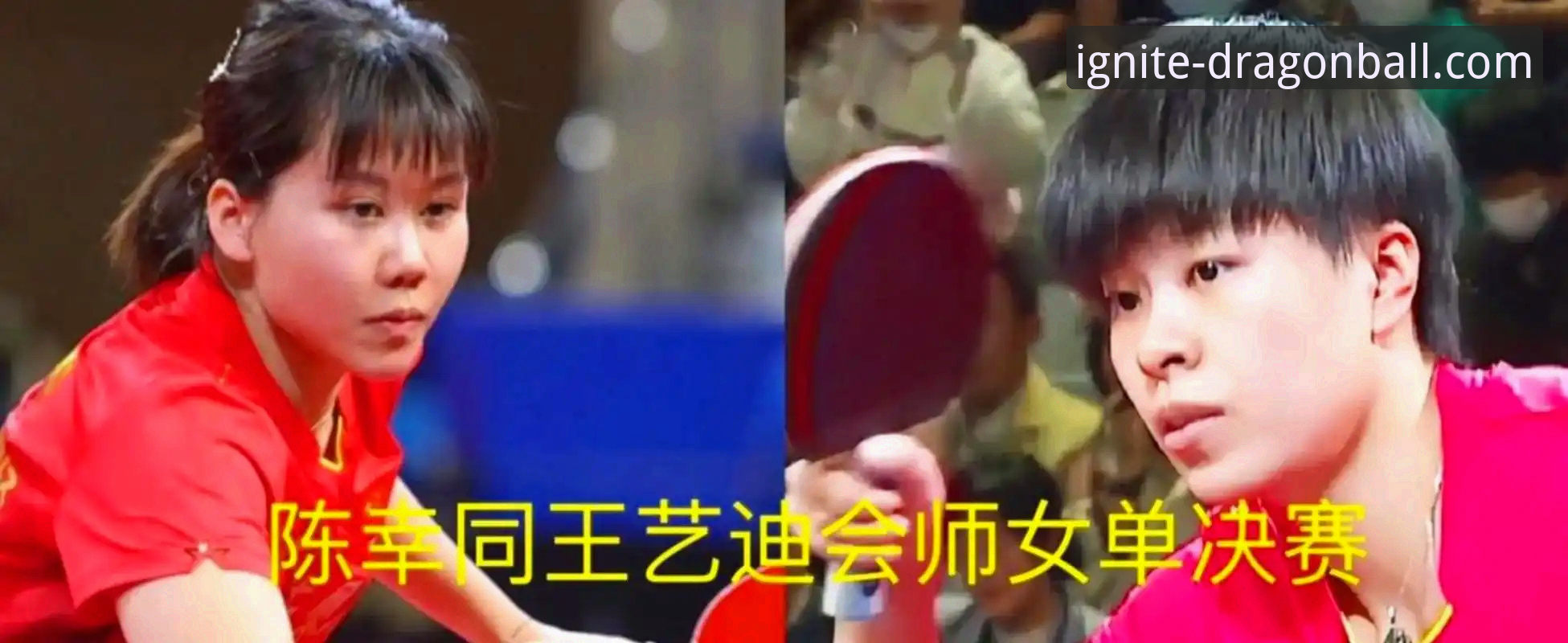 2026世乒赛女团小组赛中国台北战报：陈幸同首秀速胜操作教程